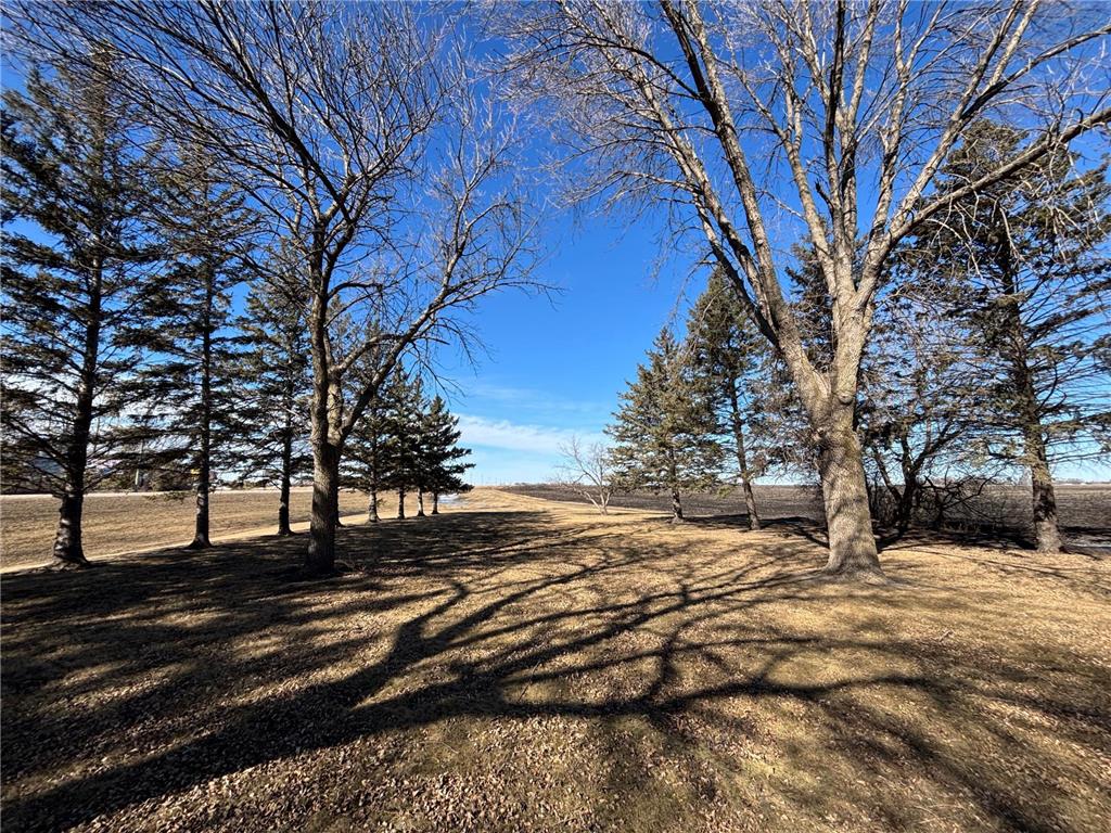 27703 County Road 1 Hancock MN 56244 6678277 image6