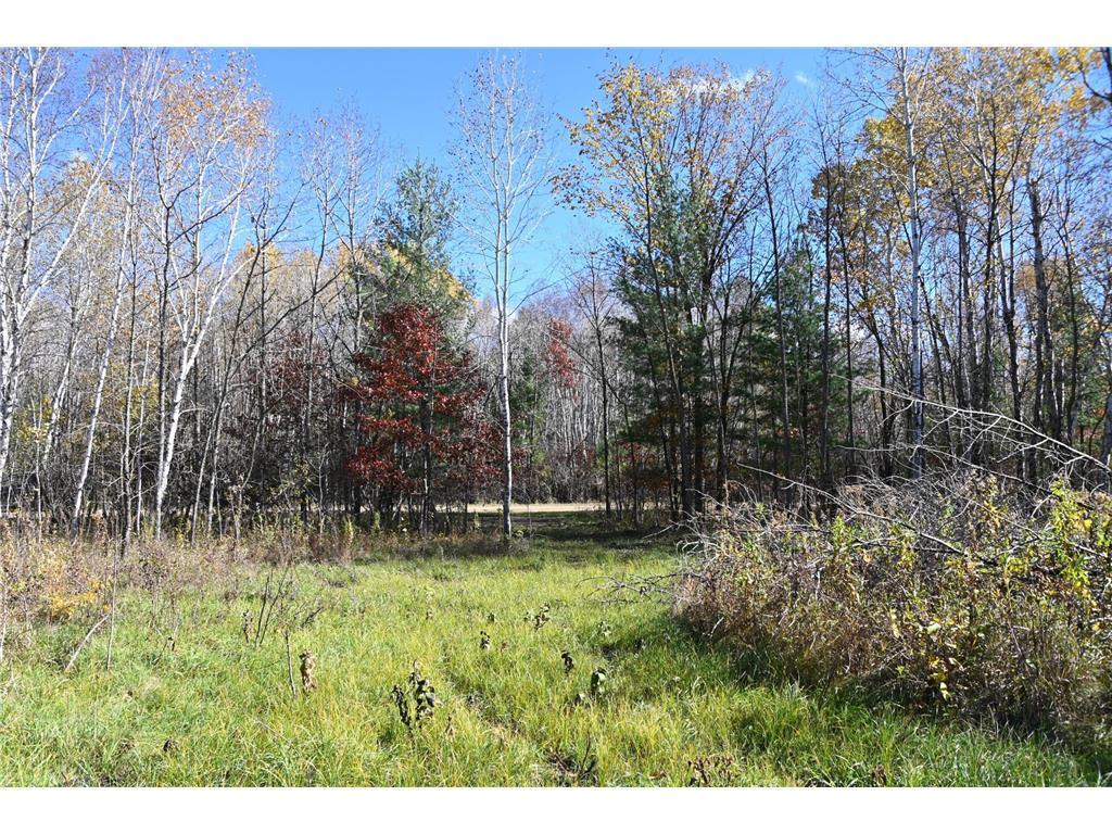 27727 Oberon Loop Moran Twp MN 56438 7034481 image10