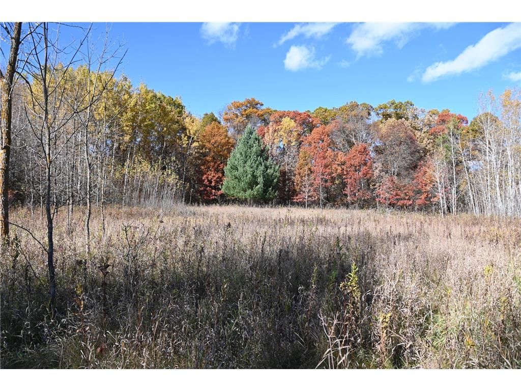 27727 Oberon Loop Moran Twp MN 56438 7034481 image11