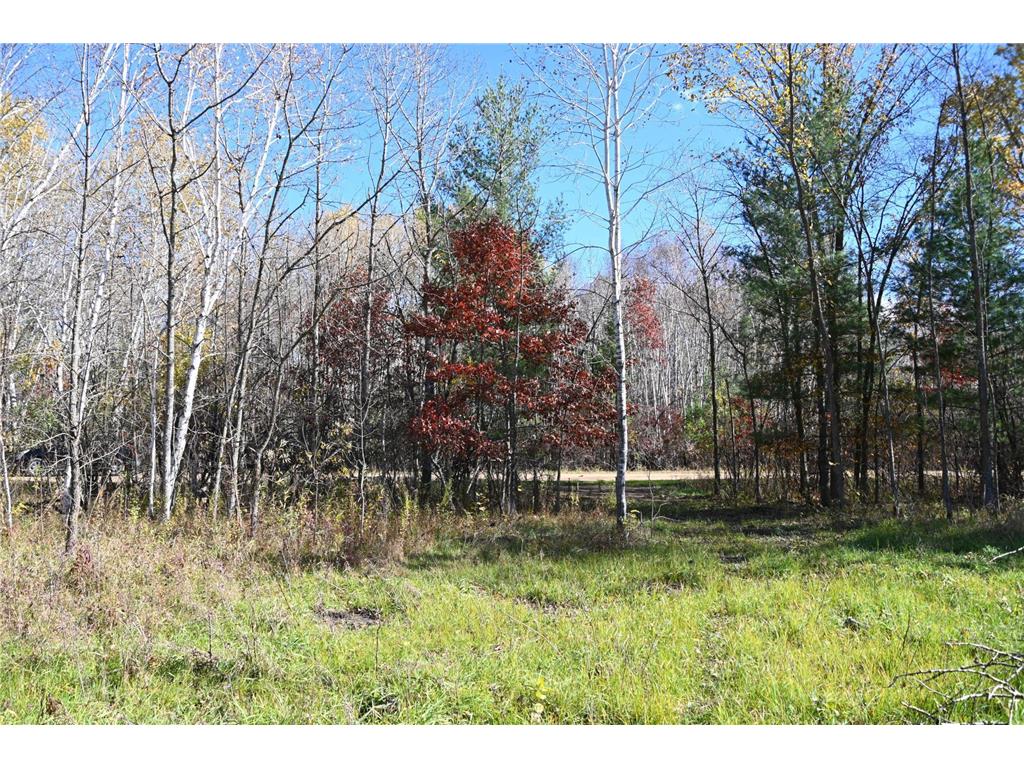 27727 Oberon Loop Moran Twp MN 56438 7034481 image12