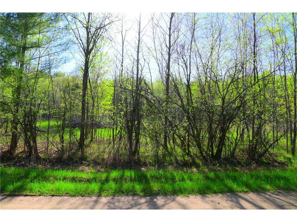 27727 Oberon Loop Moran Twp MN 56438 7034481 image23
