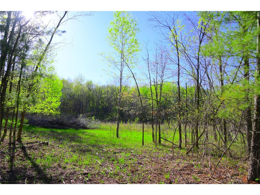 27727 Oberon Loop Moran Twp MN 56438 7034481 image25