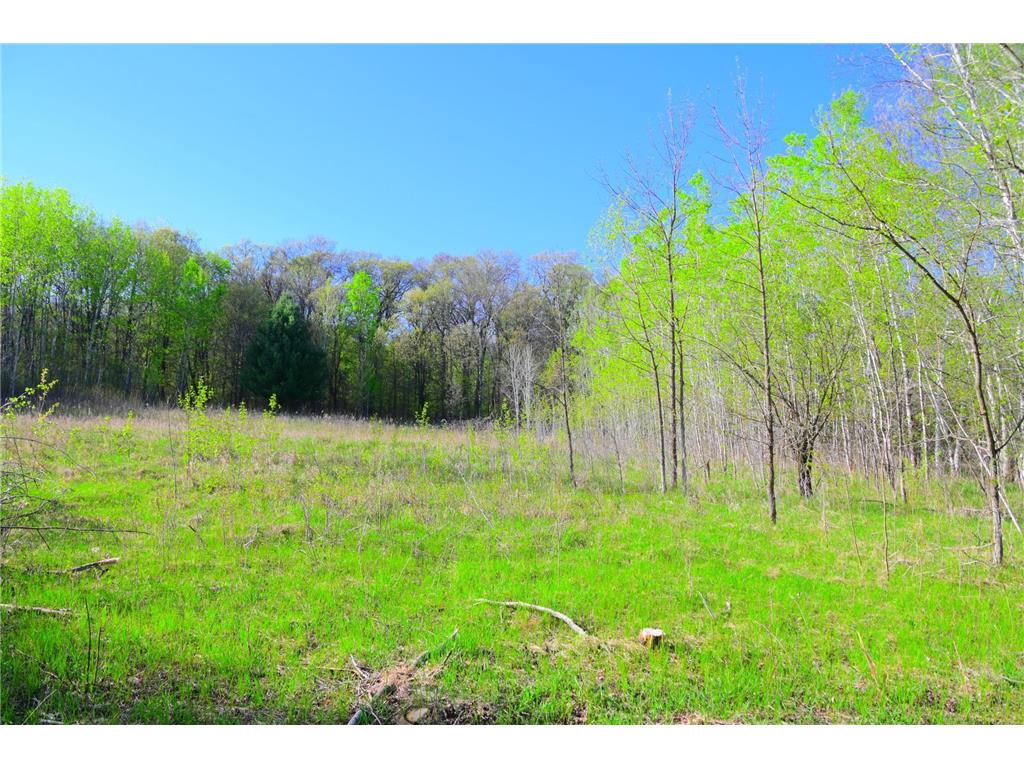 27727 Oberon Loop Moran Twp MN 56438 7034481 image27