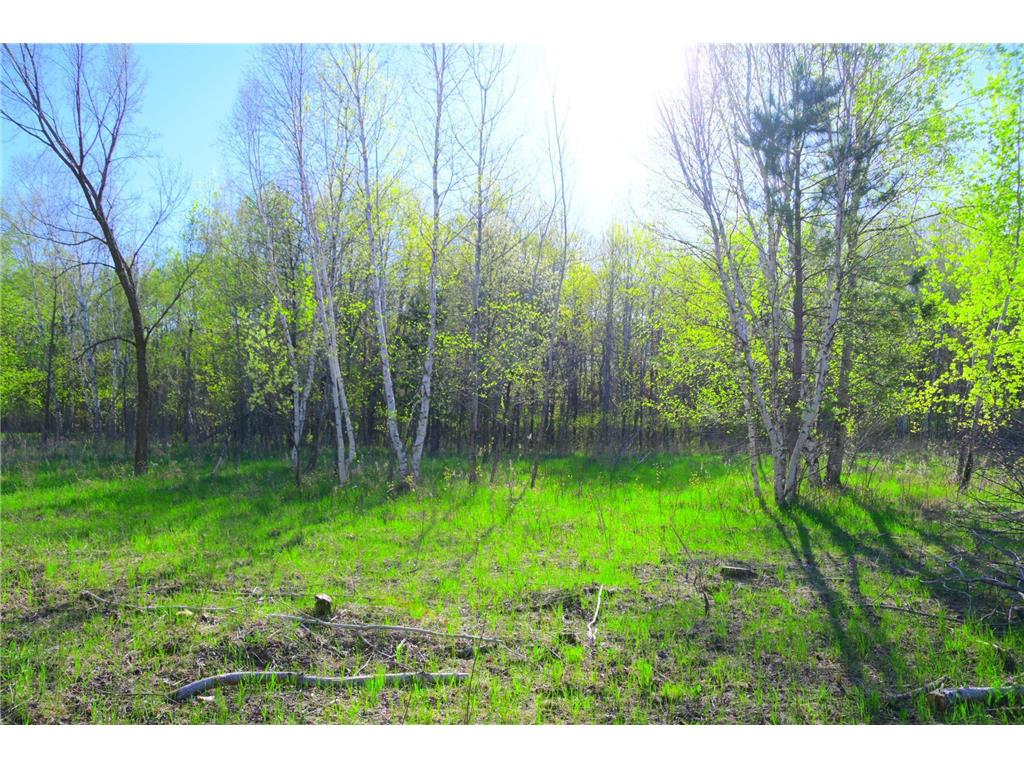 27727 Oberon Loop Moran Twp MN 56438 7034481 image28