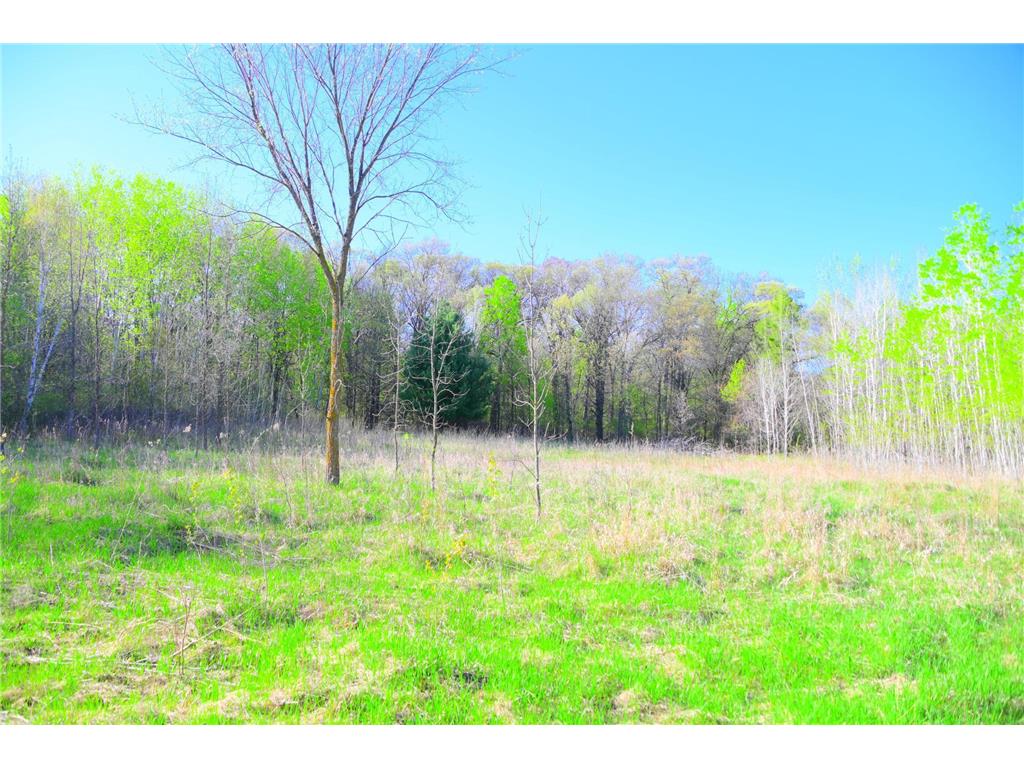 27727 Oberon Loop Moran Twp MN 56438 7034481 image29