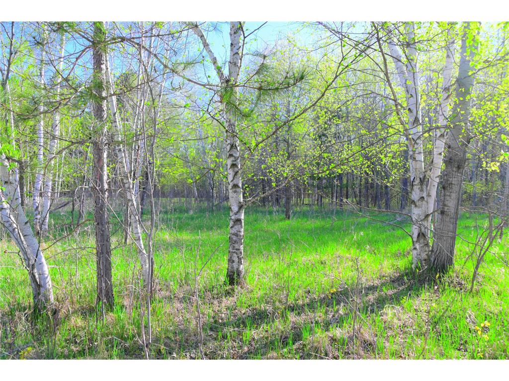 27727 Oberon Loop Moran Twp MN 56438 7034481 image30