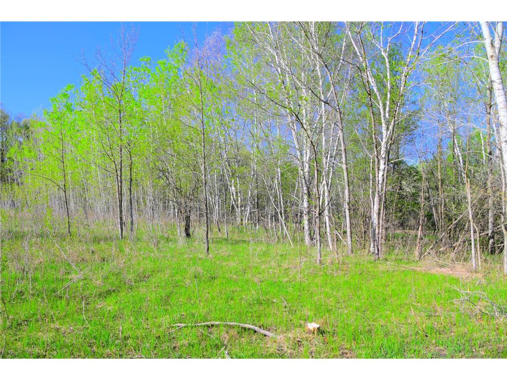 27727 Oberon Loop Moran Twp MN 56438 7034481 image32