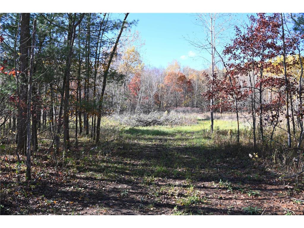 27727 Oberon Loop Moran Twp MN 56438 7034481 image4