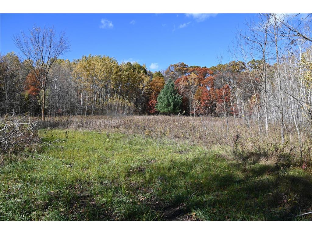 27727 Oberon Loop Moran Twp MN 56438 7034481 image5