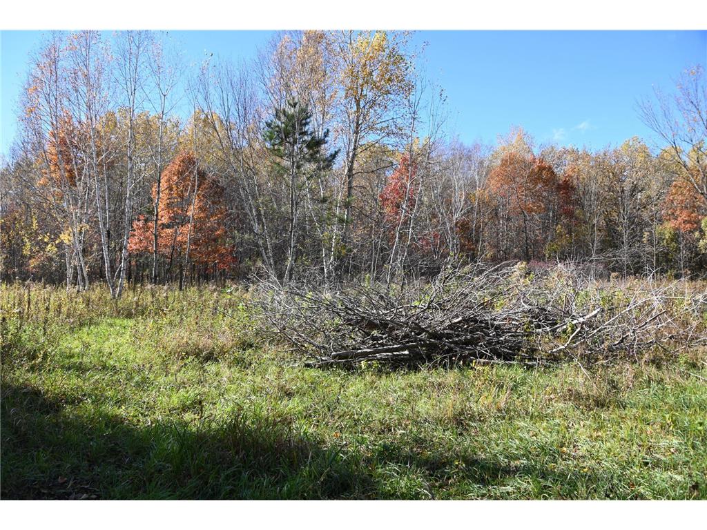 27727 Oberon Loop Moran Twp MN 56438 7034481 image6