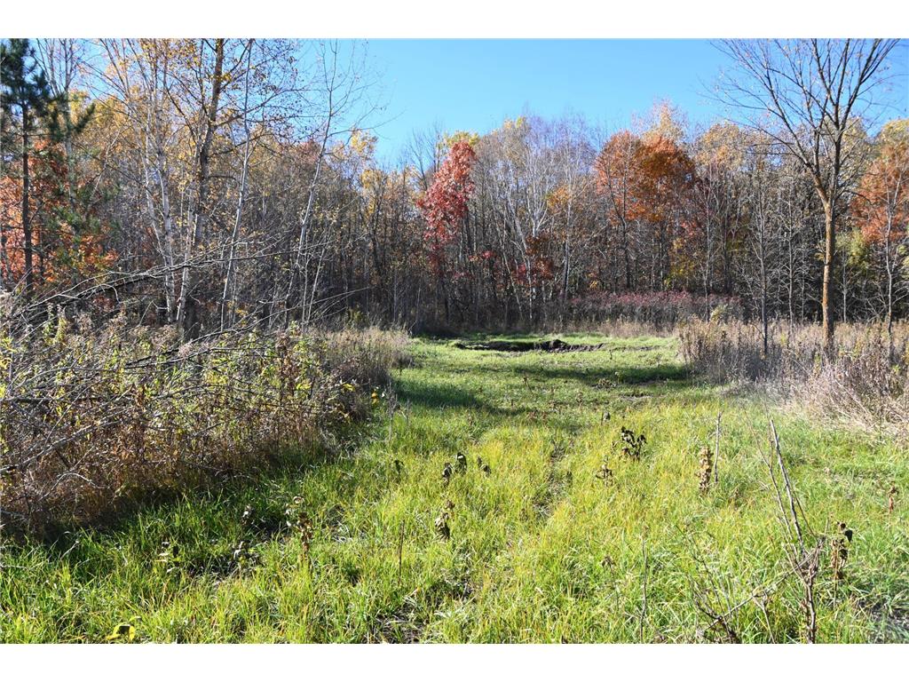 27727 Oberon Loop Moran Twp MN 56438 7034481 image7
