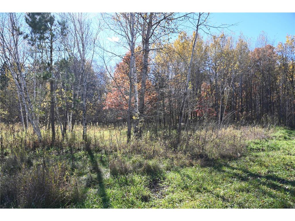 27727 Oberon Loop Moran Twp MN 56438 7034481 image8