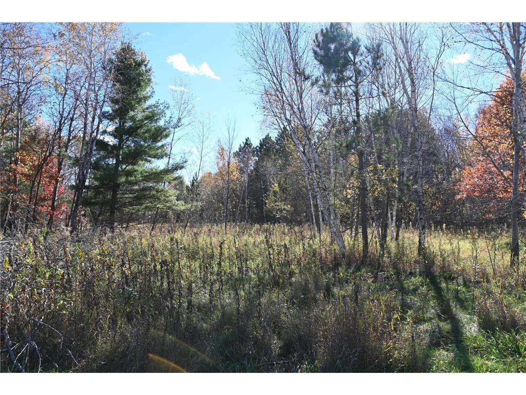 27727 Oberon Loop Moran Twp MN 56438 7034481 image9