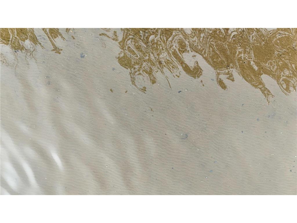 27762 Leef Road Webster WI 54893 - Sand Lake 6773562 image9