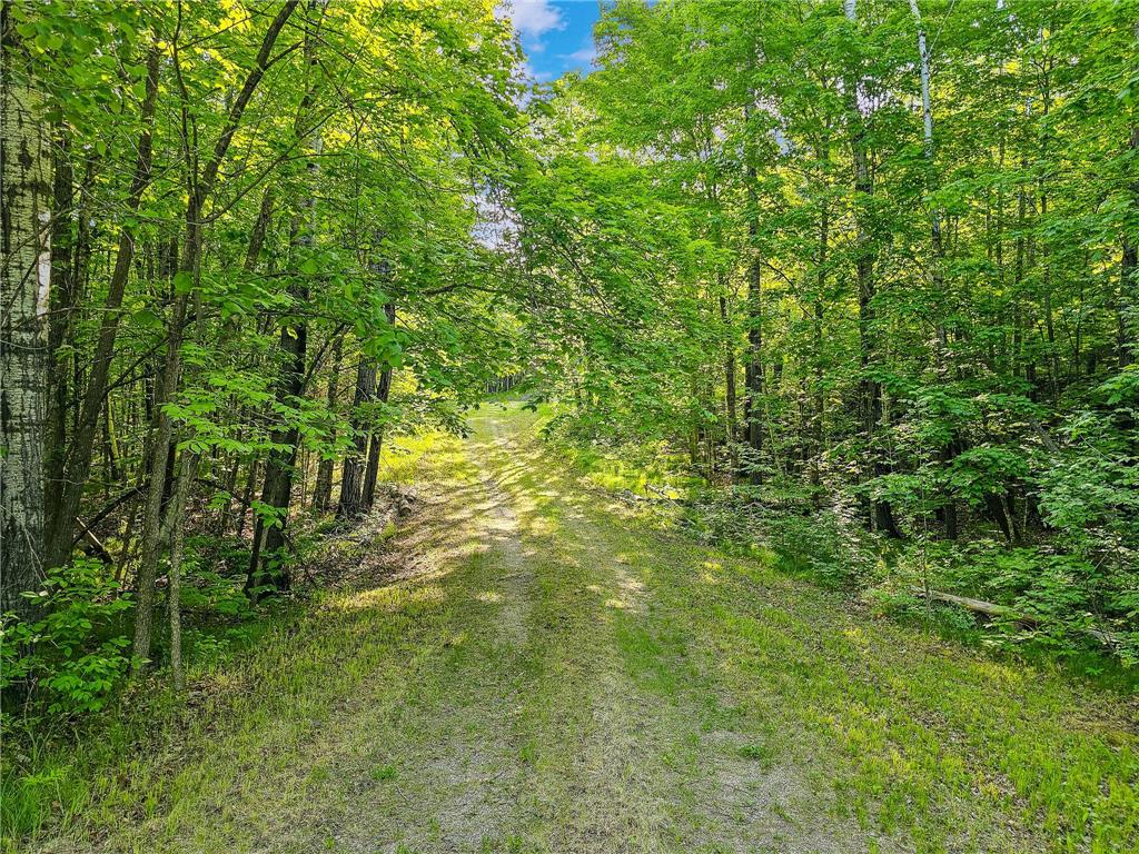 27764 Elm Ln Detroit Lakes MN 56501 7091733 image10