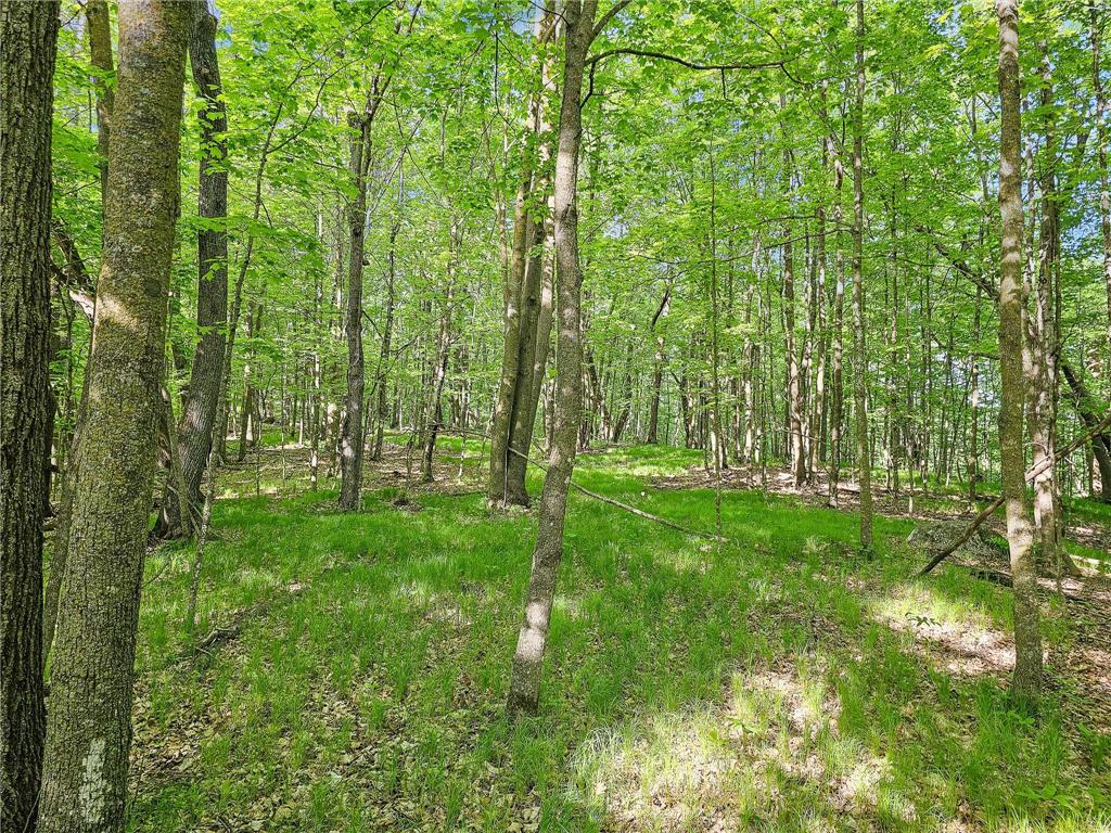 27764 Elm Ln Detroit Lakes MN 56501 7091733 image23