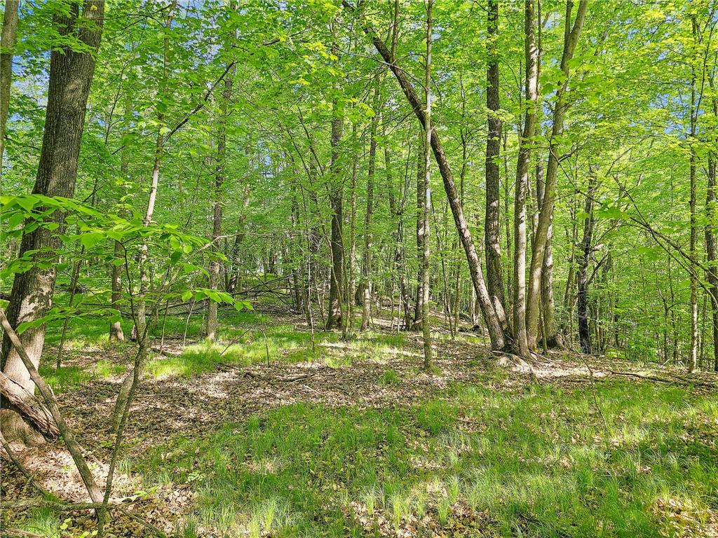 27764 Elm Ln Detroit Lakes MN 56501 7091733 image24