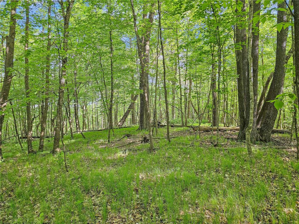 27764 Elm Ln Detroit Lakes MN 56501 7091733 image26