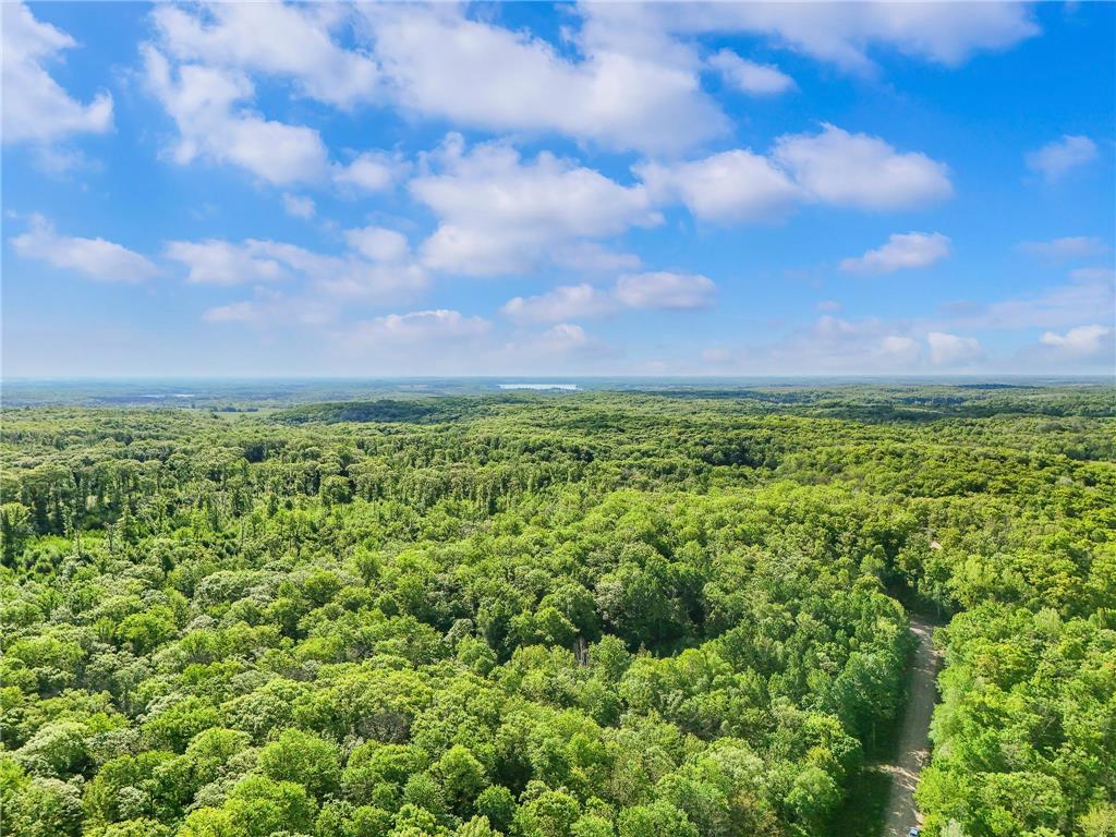27764 Elm Ln Detroit Lakes MN 56501 7091733 image3