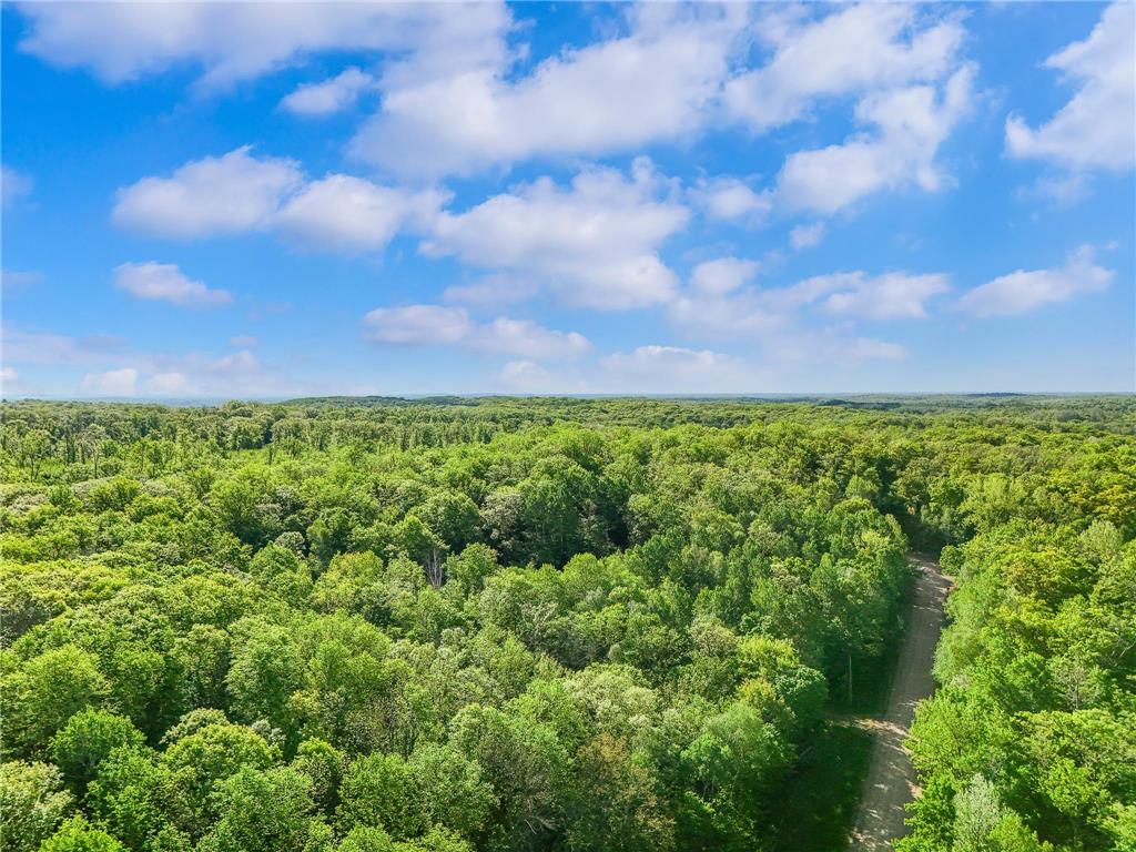 27764 Elm Ln Detroit Lakes MN 56501 7091733 image9