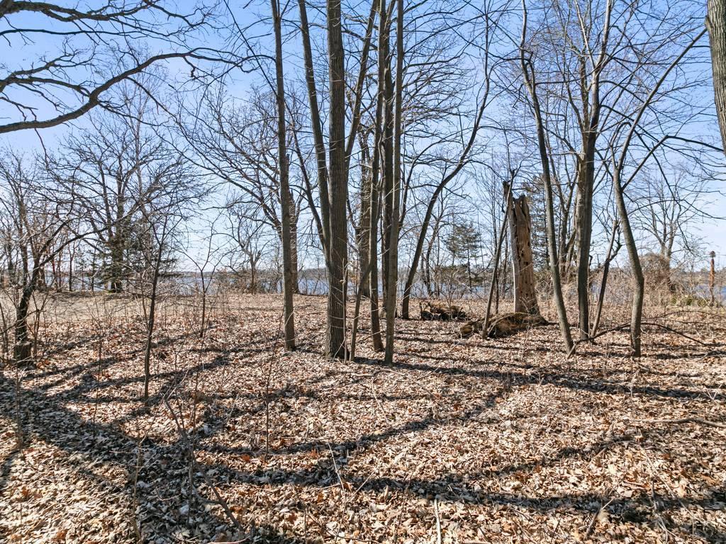 27861 742nd Avenue Dassel Twp MN 55325 - Big Swan 7050154 image2