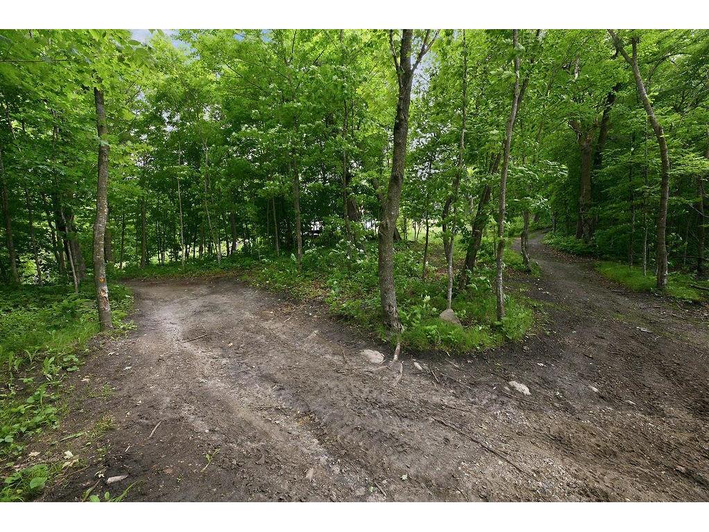 27884 86th Avenue S Parke Twp MN 56549 7093097 image46