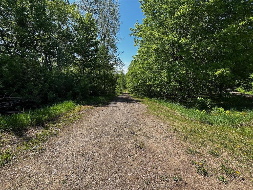 27890 Little Pleasant Drive Underwood MN 56586 7055032 image48