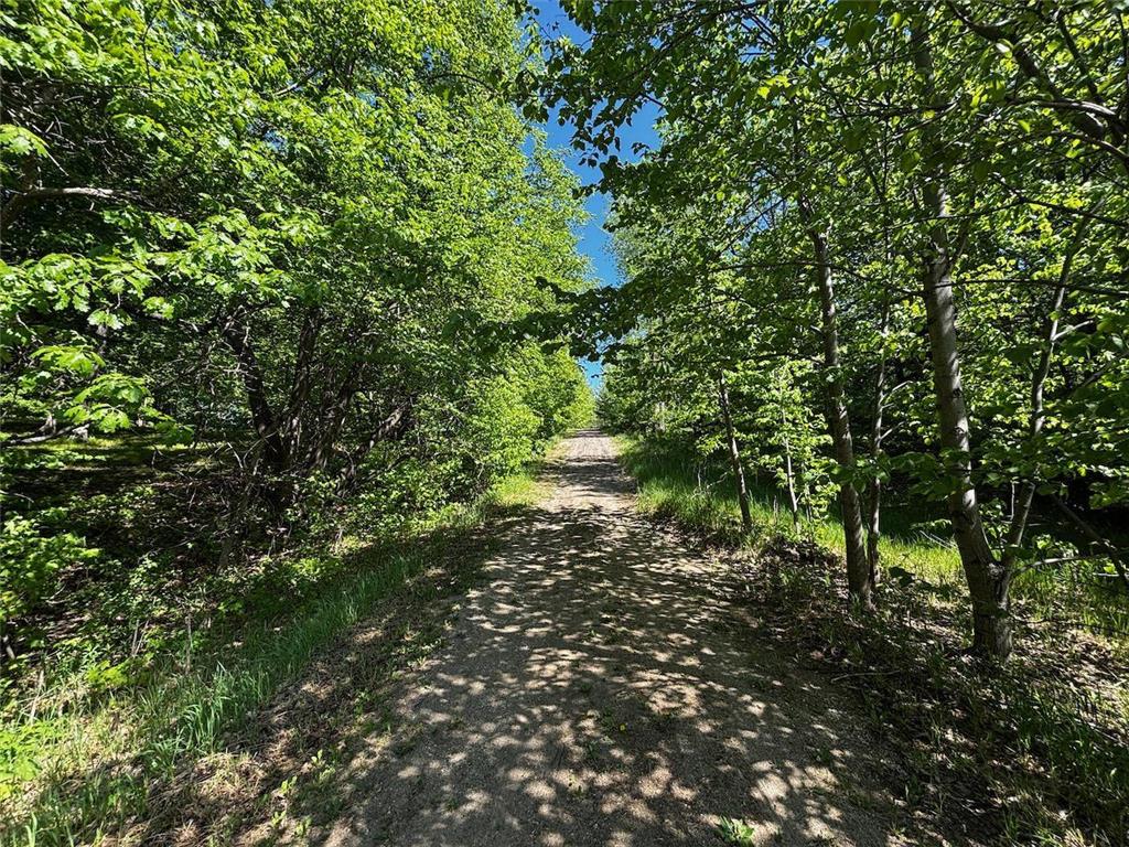 27890 Little Pleasant Drive Underwood MN 56586 7055032 image49