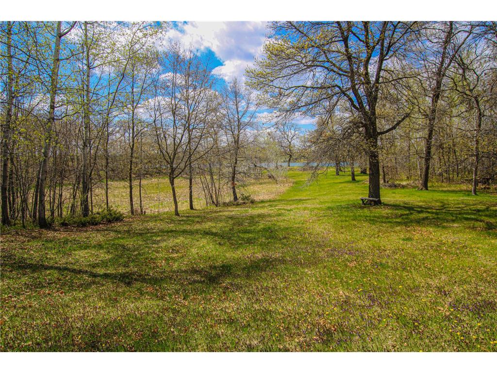 27935 426th Avenue Battle Lake MN 56515 - Hanson Lake 7063818 image10
