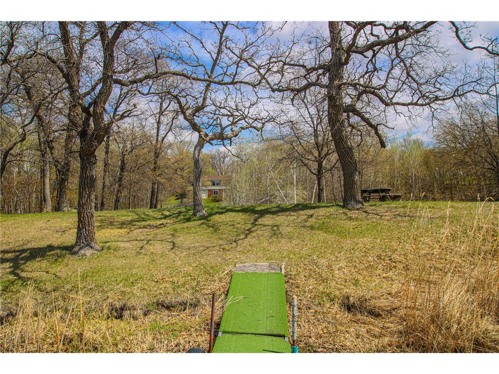 27935 426th Avenue Battle Lake MN 56515 - Hanson Lake 7063818 image14