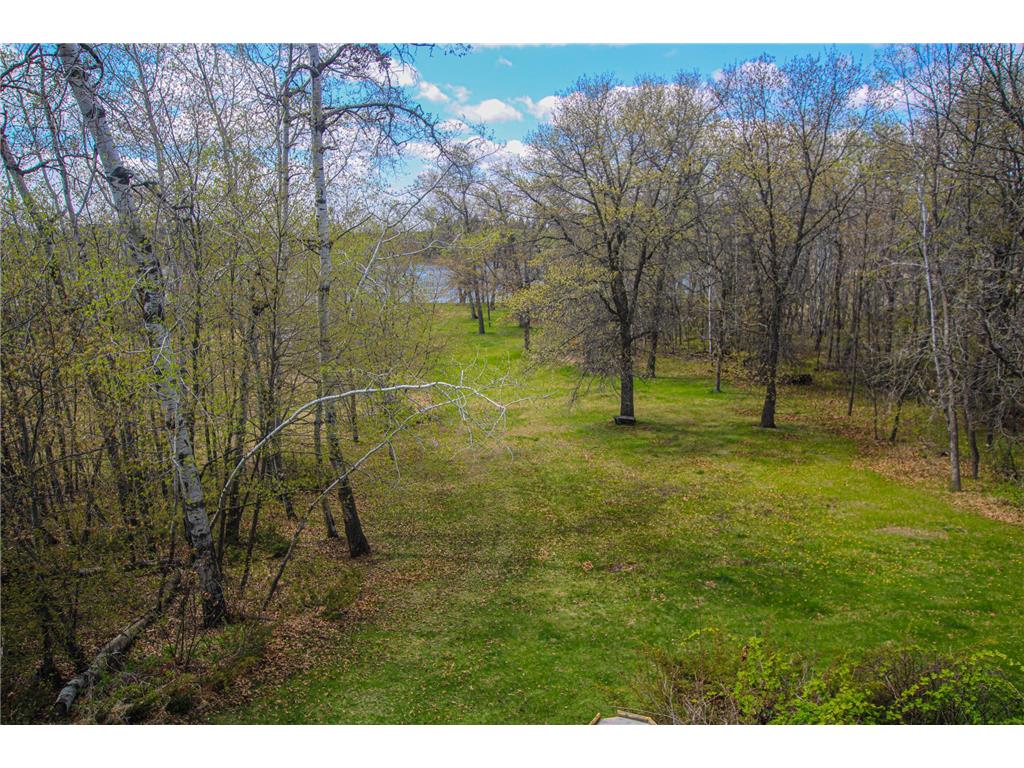 27935 426th Avenue Battle Lake MN 56515 - Hanson Lake 7063818 image9