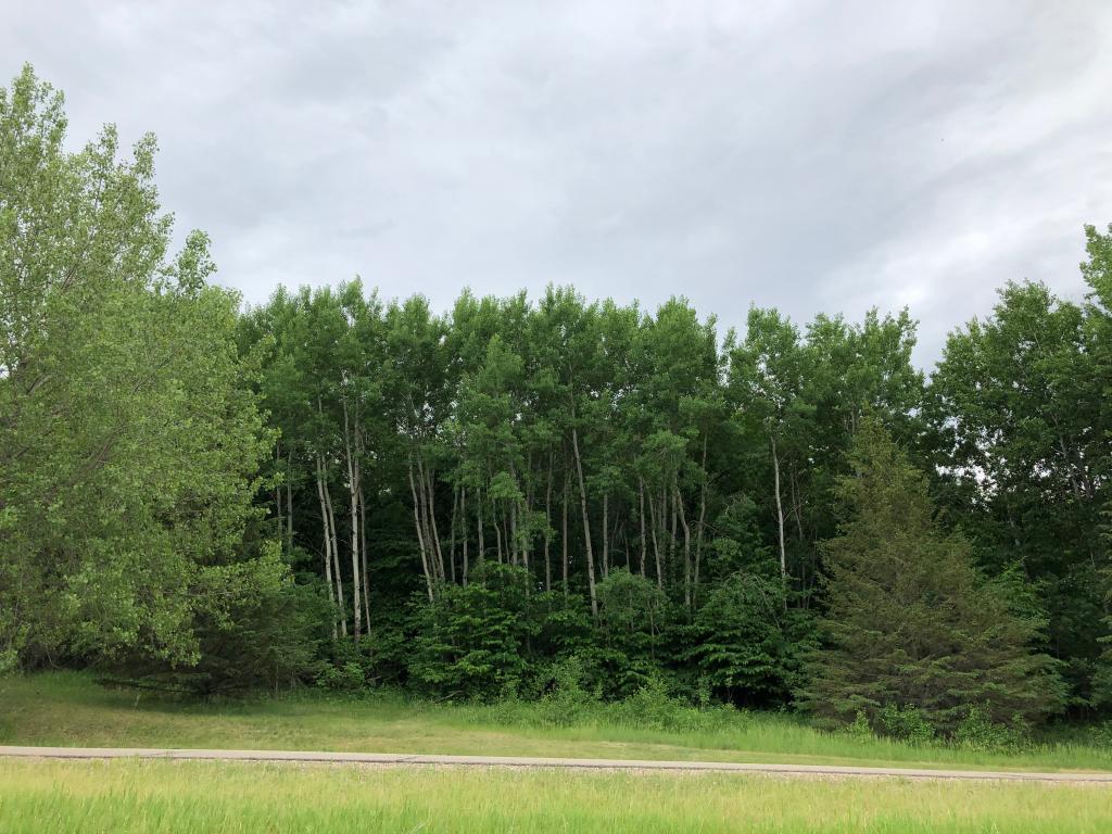 27945 Timber Lane Road Paynesville Twp MN 56362 7068639 image1