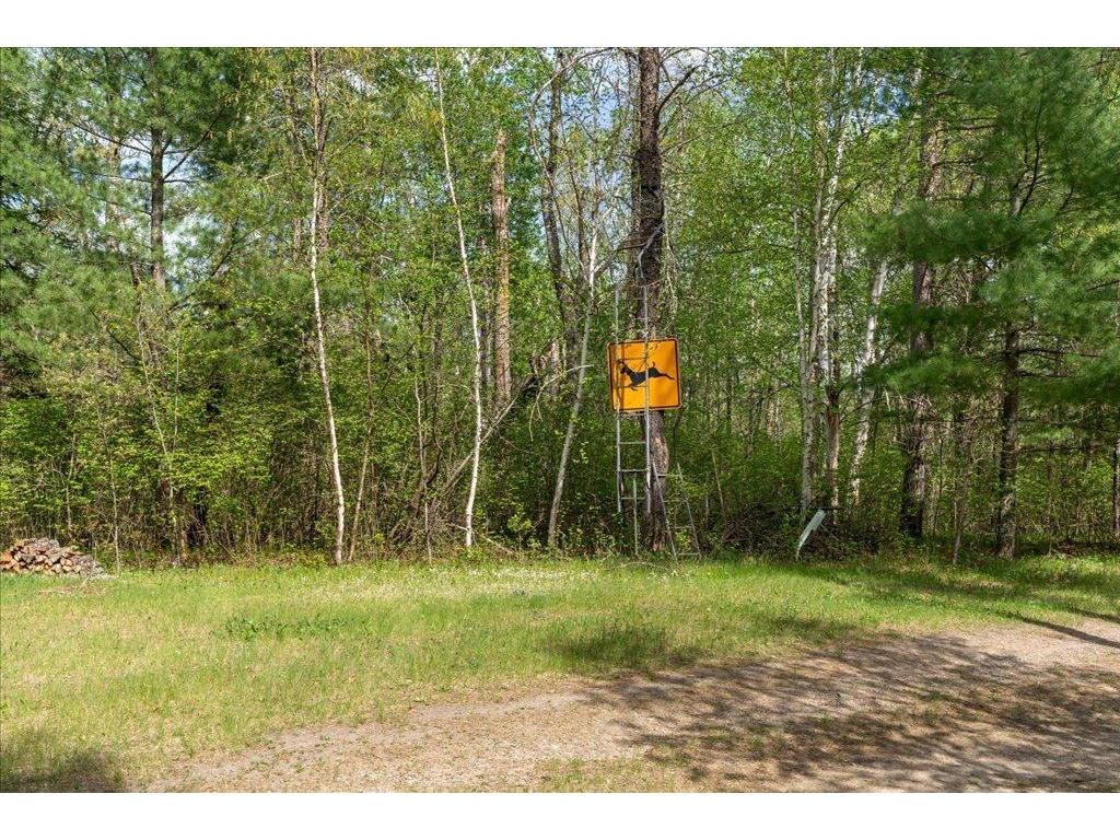 27965 County 7 Park Rapids MN 56470 - Mantrap 7074536 image43
