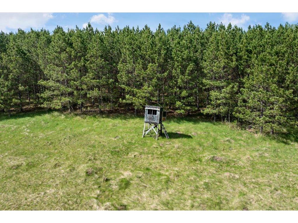 27965 County 7 Park Rapids MN 56470 - Mantrap 7074536 image44