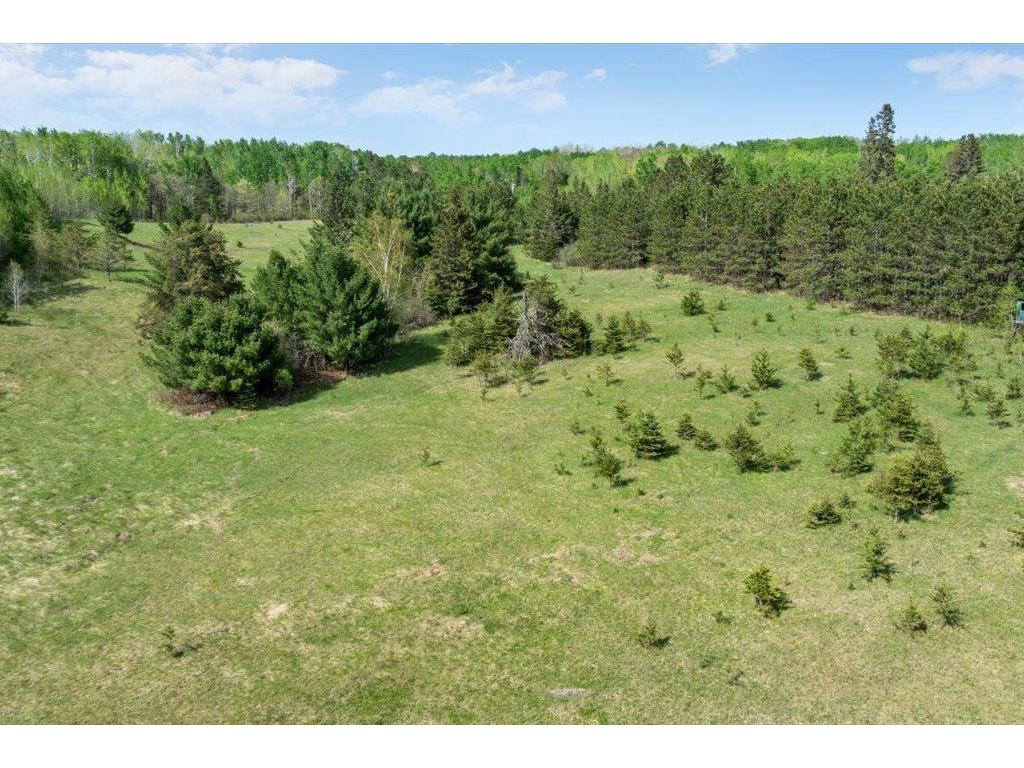 27965 County 7 Park Rapids MN 56470 - Mantrap 7074536 image46