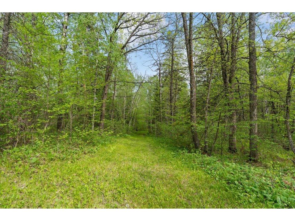 27965 County 7 Park Rapids MN 56470 - Mantrap 7074536 image47