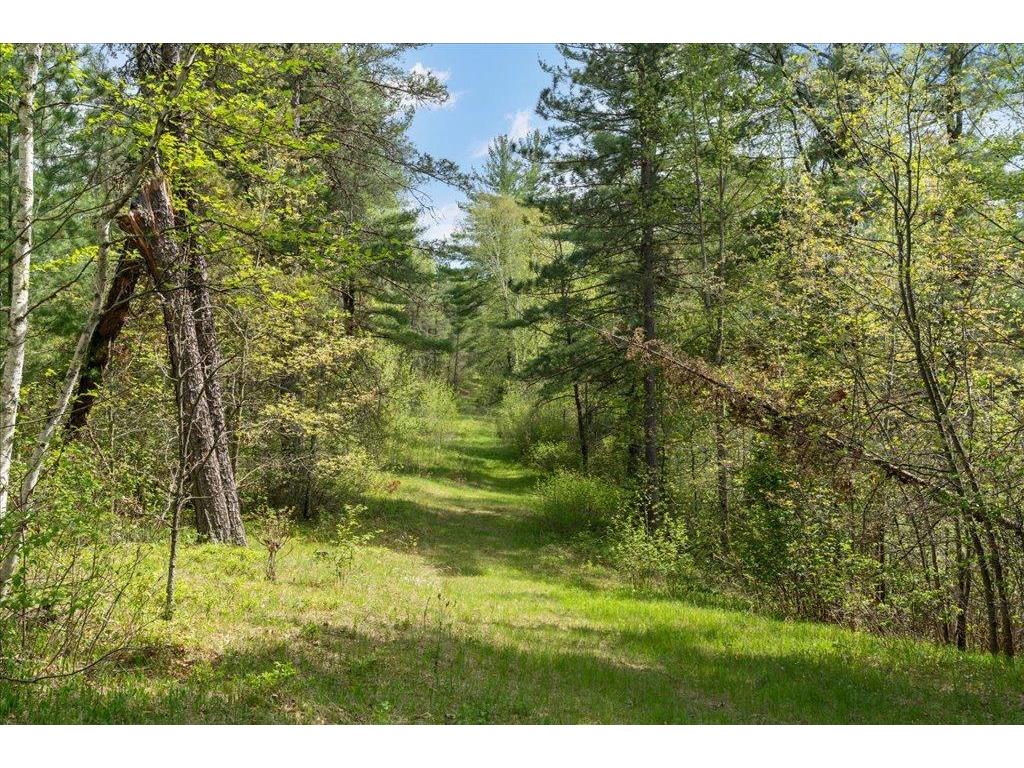 27965 County 7 Park Rapids MN 56470 - Mantrap 7074536 image50