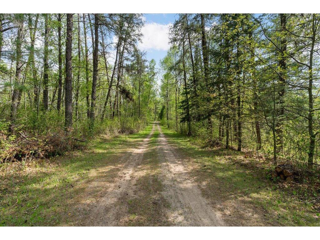 27965 County 7 Park Rapids MN 56470 - Mantrap 7074536 image51