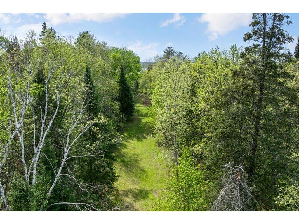 27965 County 7 Park Rapids MN 56470 - Mantrap 7074536 image52