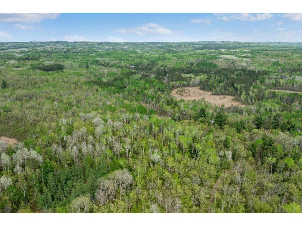 27965 County 7 Park Rapids MN 56470 - Mantrap 7074536 image53