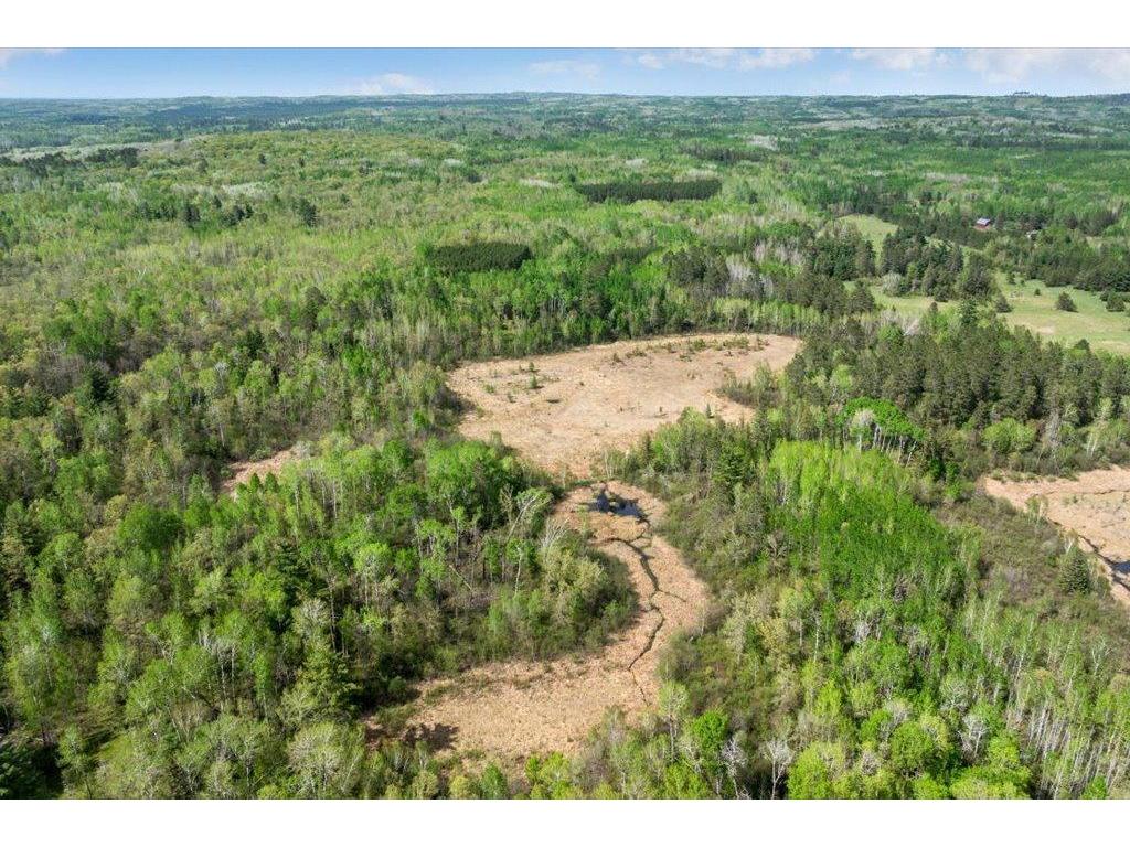 27965 County 7 Park Rapids MN 56470 - Mantrap 7074536 image54