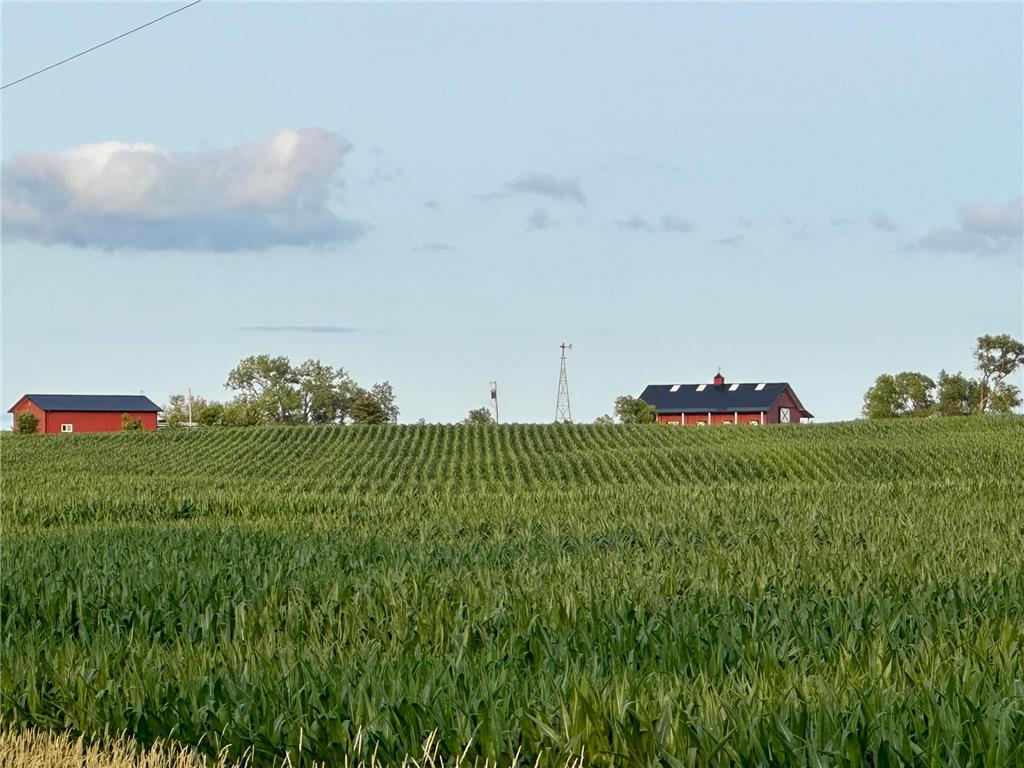 27995 County Road 28 Lowry MN 56349 7042332 image14