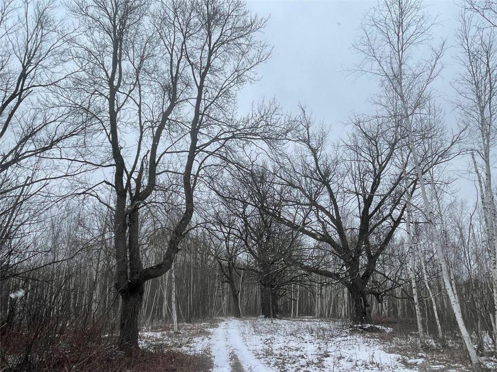 27XX 320th Avenue Brook Park MN 55007 7035089 image1