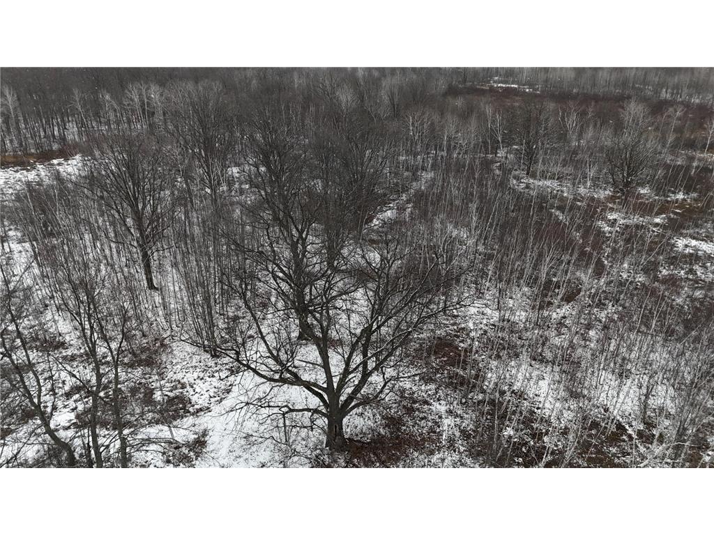 27XX 320th Avenue Brook Park MN 55007 7035089 image17