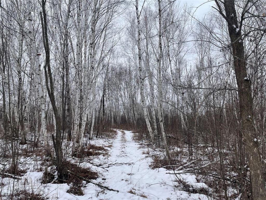 27XX 320th Avenue Brook Park MN 55007 7035089 image23