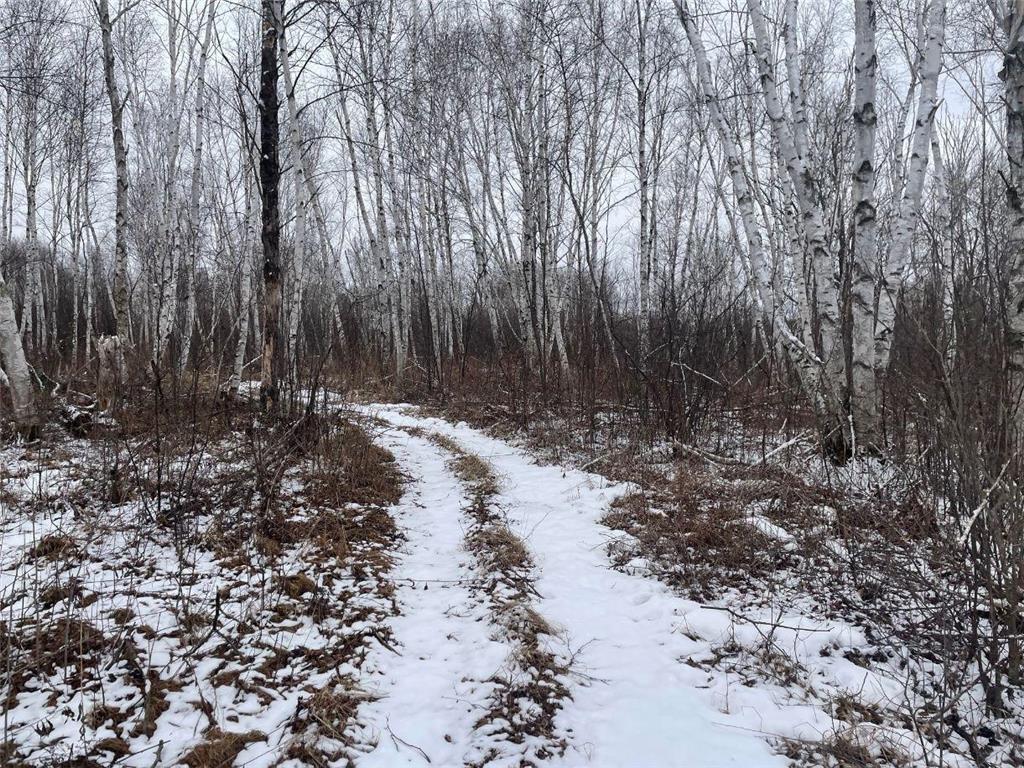 27XX 320th Avenue Brook Park MN 55007 7035089 image24