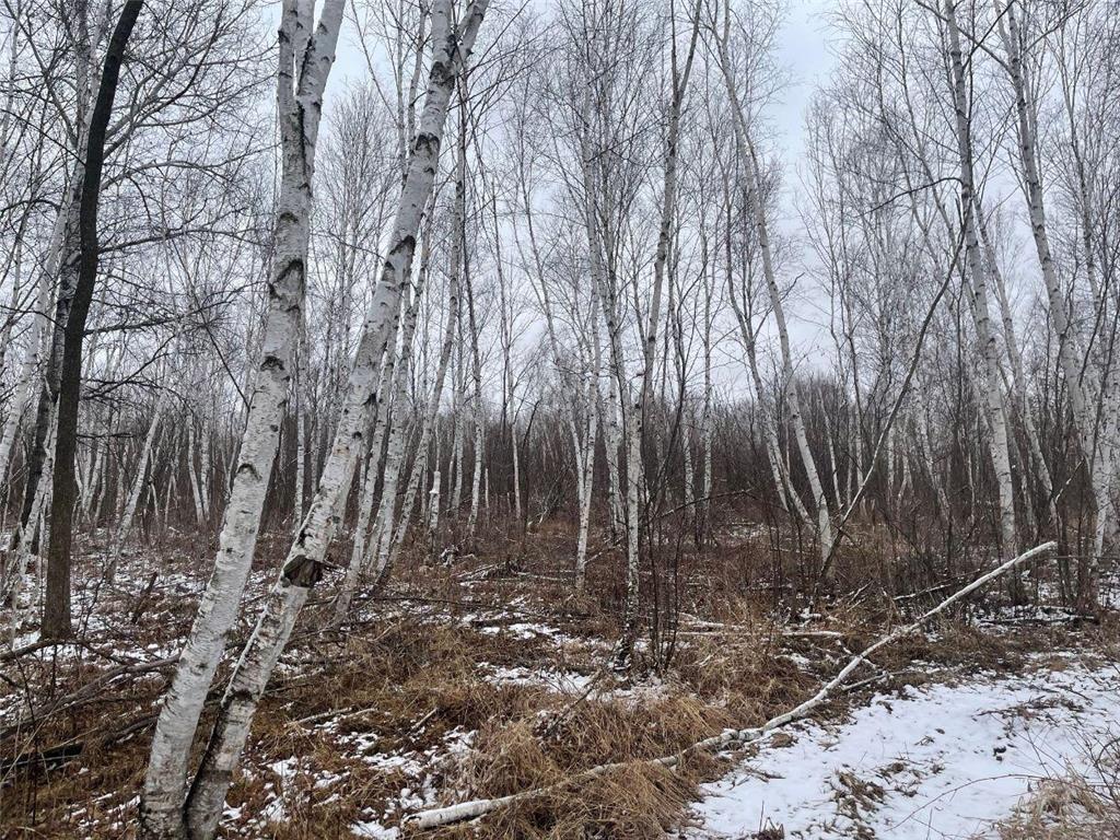 27XX 320th Avenue Brook Park MN 55007 7035089 image25