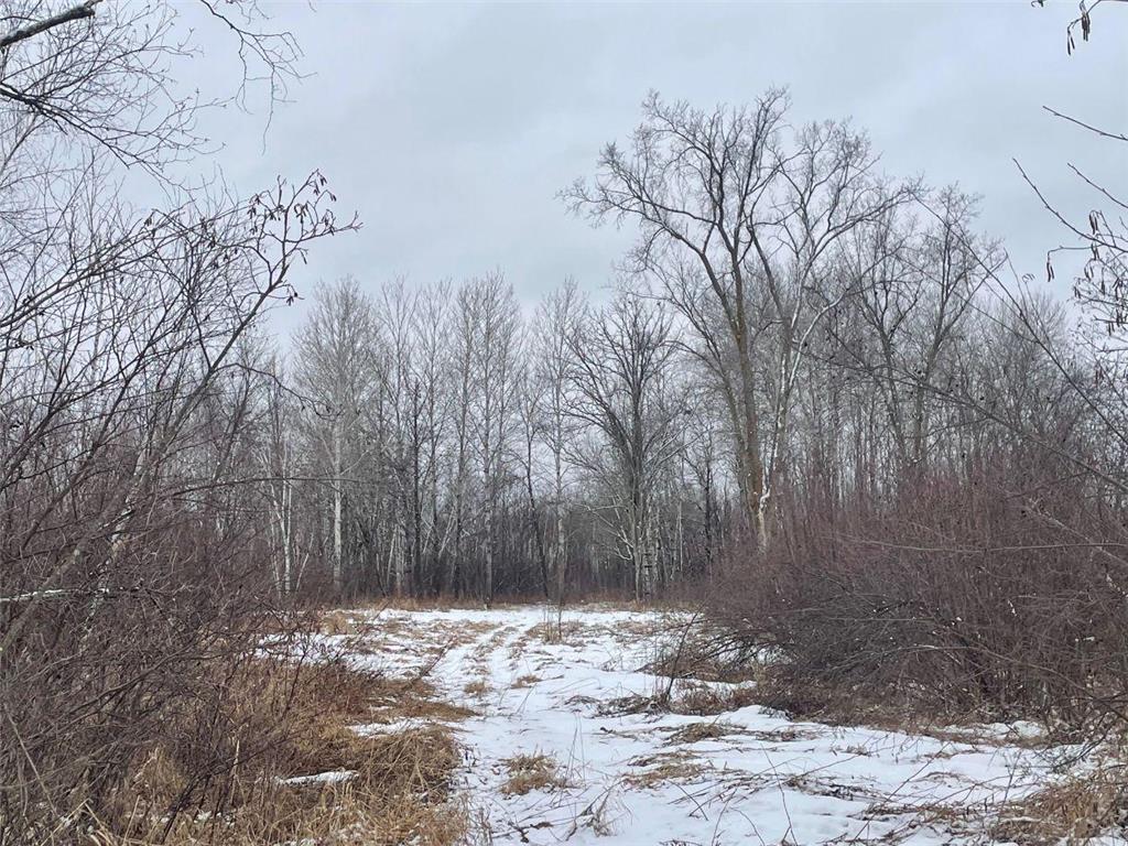 27XX 320th Avenue Brook Park MN 55007 7035089 image28