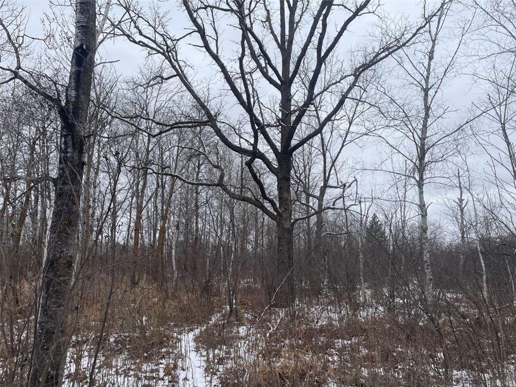 27XX 320th Avenue Brook Park MN 55007 7035089 image3
