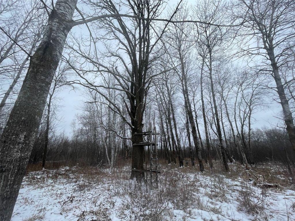 27XX 320th Avenue Brook Park MN 55007 7035089 image30